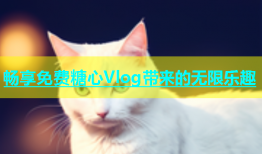 畅享免费糖心Vlog带来的无限乐趣