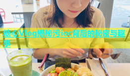 糖心Vlog揭秘污ioc背后的秘密与趣事