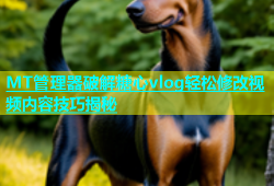 MT管理器破解糖心vlog轻松修改视频内容技巧揭秘