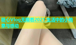 糖心Vlog无限看2021 生活中的小确幸与感动