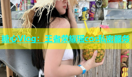 糖心Vlog：王者荣耀瑶cos私密服务