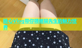 糖心Vlog带你领略猫先生的魅力世界