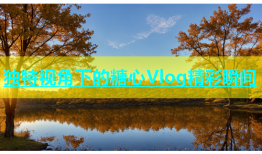 独特视角下的糖心Vlog精彩瞬间