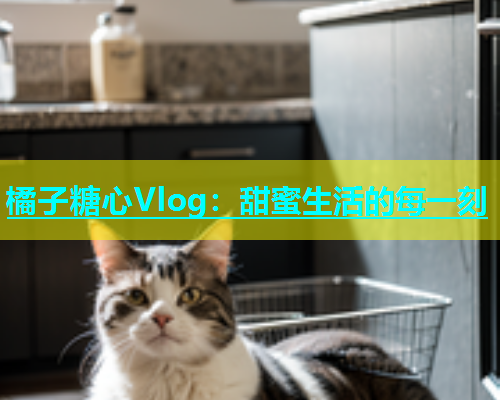 橘子糖心Vlog：甜蜜生活的每一刻