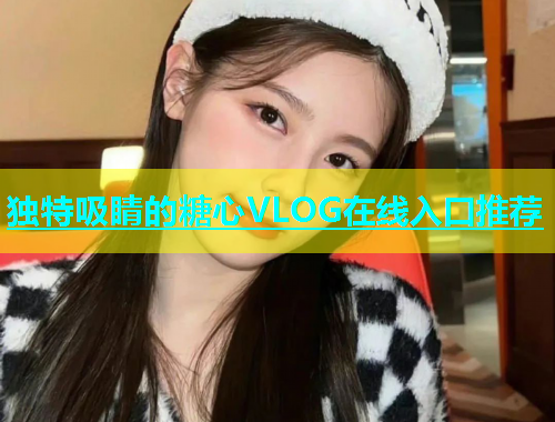 独特吸睛的糖心VLOG在线入口推荐