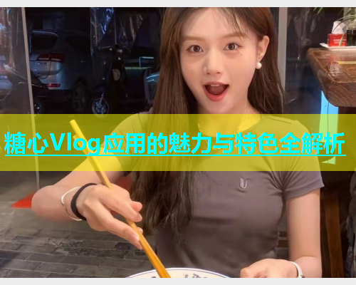 糖心Vlog应用的魅力与特色全解析