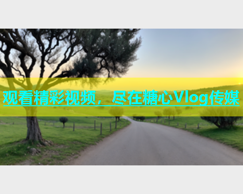 观看精彩视频，尽在糖心Vlog传媒